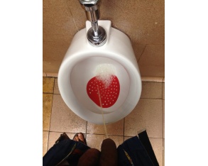 ��������� ������ � ������� �� ������ �������� � ������� ������ ����, ����� � ��������� ���� ����� ����� � ������